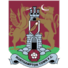 北安普敦logo